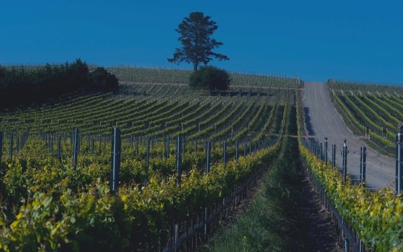 Sustainability in Action | Santa Maria